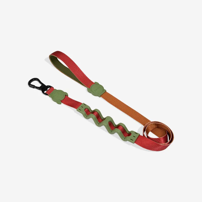 Dogs Leash with shock absorber