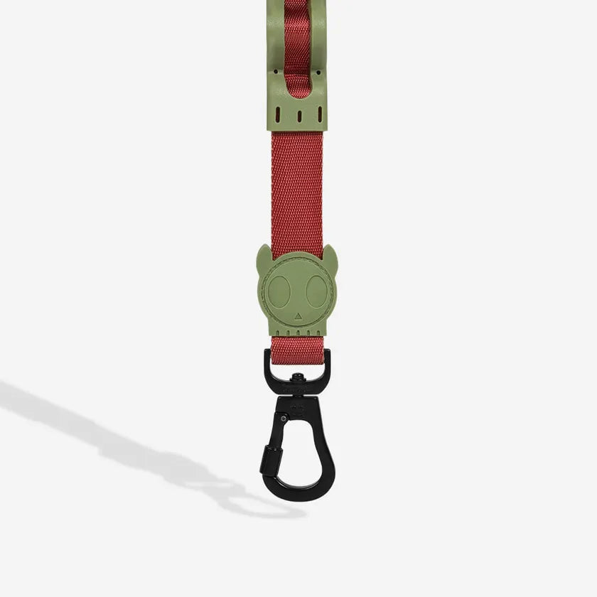 Dogs Leash with shock absorber