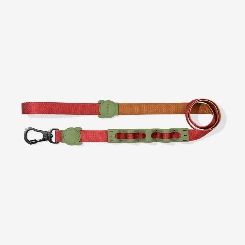 Dogs Leash with shock absorber